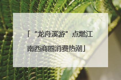 “龙舟溪游”点燃江南西商圈消费热潮