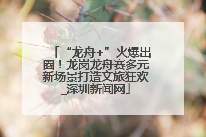 “龙舟+”火爆出圈！龙岗龙舟赛多元新场景打造文旅狂欢_深圳新闻网