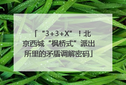“3+3+X”！北京西城“枫桥式”派出所里的矛盾调解密码