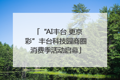 “AI丰台 更京彩”丰台科技园商圈消费季活动启幕