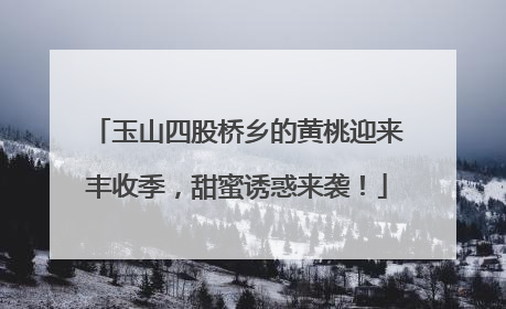 玉山四股桥乡的黄桃迎来丰收季，甜蜜诱惑来袭！