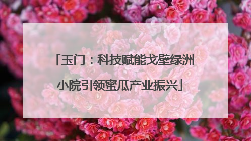 玉门：科技赋能戈壁绿洲 小院引领蜜瓜产业振兴