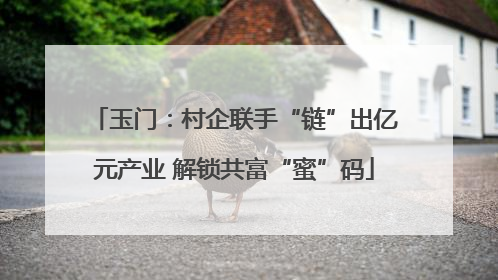 玉门：村企联手“链”出亿元产业 解锁共富“蜜”码