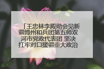 王忠林李殿勋会见新疆博州和兵团第五师双河市党政代表团 坚决扛牢对口援疆重大政治责任 推动双方实现优势互补务实合作