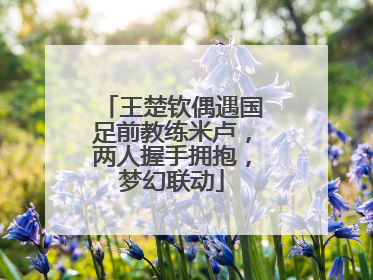 王楚钦偶遇国足前教练米卢，两人握手拥抱，梦幻联动