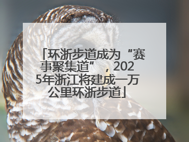 环浙步道成为“赛事聚集道”，2025年浙江将建成一万公里环浙步道