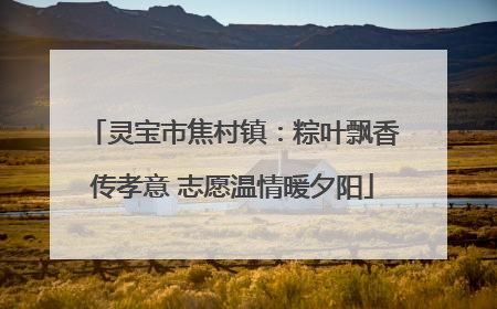 灵宝市焦村镇：粽叶飘香传孝意 志愿温情暖夕阳