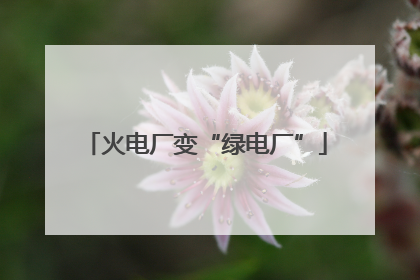 火电厂变“绿电厂”