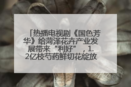 热播电视剧《国色芳华》给菏泽花卉产业发展带来“利好”，1.2亿枝芍药鲜切花绽放“国色芳华”