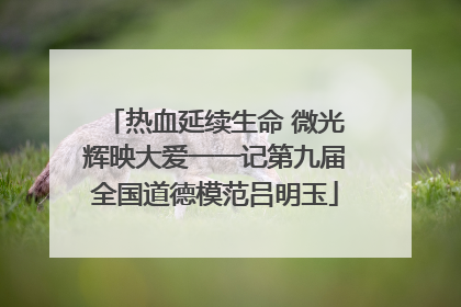 热血延续生命 微光辉映大爱一一记第九届全国道德模范吕明玉