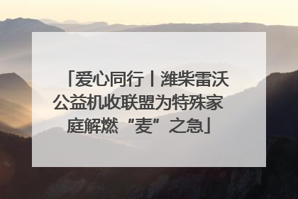 爱心同行丨潍柴雷沃公益机收联盟为特殊家庭解燃“麦”之急