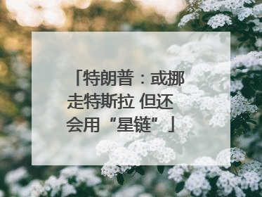 特朗普：或挪走特斯拉 但还会用“星链”