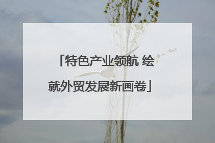 特色产业领航 绘就外贸发展新画卷