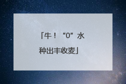 牛！“0”水种出丰收麦