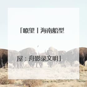 瞭望丨海南船型屋：舟影录文明