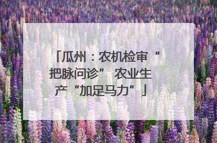 瓜州：农机检审“把脉问诊” 农业生产“加足马力”