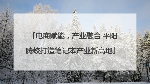 电商赋能，产业融合 平阳腾蛟打造笔记本产业新高地