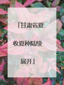 甘肃省夏收夏种陆续展开