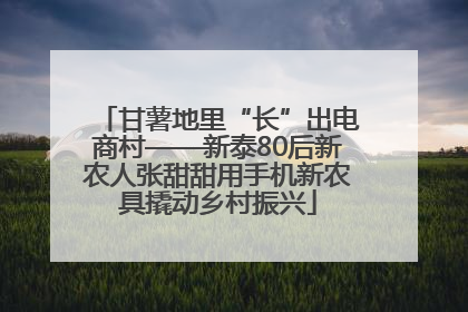 甘薯地里“长”出电商村——新泰80后新农人张甜甜用手机新农具撬动乡村振兴