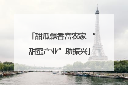 甜瓜飘香富农家 “甜蜜产业”助振兴