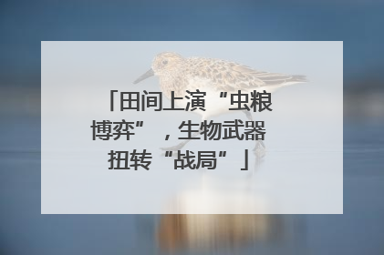 田间上演“虫粮博弈”，生物武器扭转“战局”