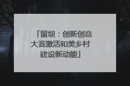 留坝：创新创意大赛激活和美乡村建设新动能