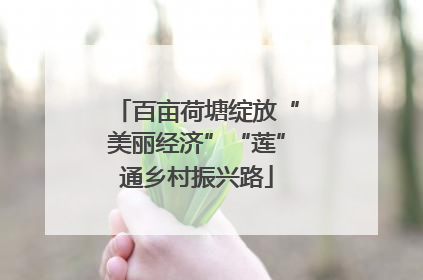 百亩荷塘绽放“美丽经济”“莲”通乡村振兴路