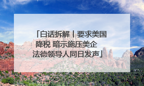 白话拆解丨要求美国降税 暗示施压美企 法德领导人同日发声