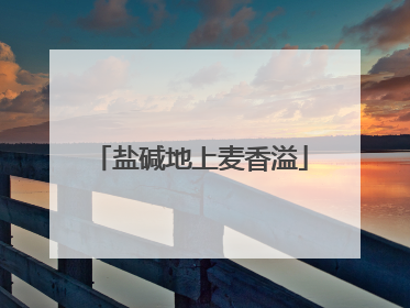 盐碱地上麦香溢