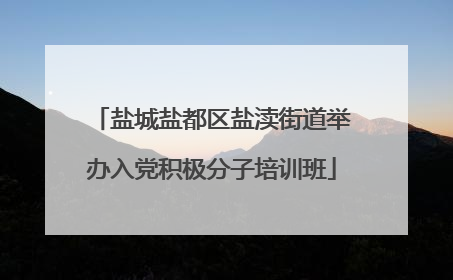 盐城盐都区盐渎街道举办入党积极分子培训班