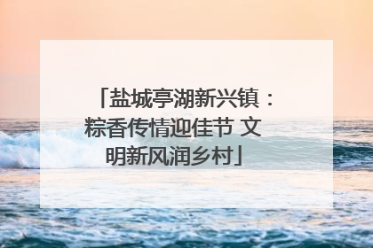 盐城亭湖新兴镇：粽香传情迎佳节 文明新风润乡村