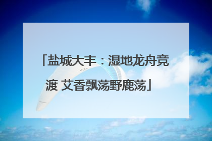 盐城大丰：湿地龙舟竞渡 艾香飘荡野鹿荡