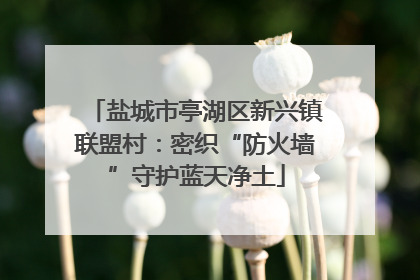 盐城市亭湖区新兴镇联盟村：密织“防火墙”守护蓝天净土