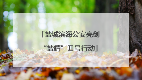 盐城滨海公安亮剑“盐靖”Ⅱ号行动