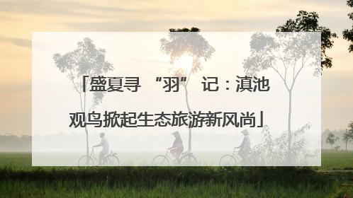盛夏寻 “羽” 记：滇池观鸟掀起生态旅游新风尚