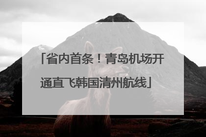 省内首条！青岛机场开通直飞韩国清州航线