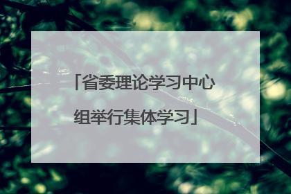 省委理论学习中心组举行集体学习