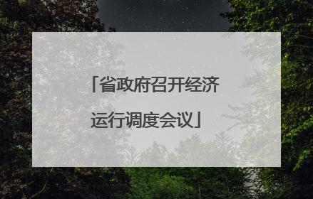 省政府召开经济运行调度会议