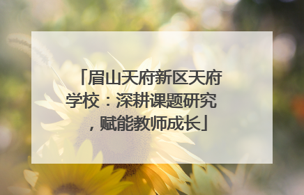 眉山天府新区天府学校：深耕课题研究，赋能教师成长