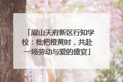眉山天府新区行知学校:枇杷橙黄时,共赴一场劳动与爱的盛宴