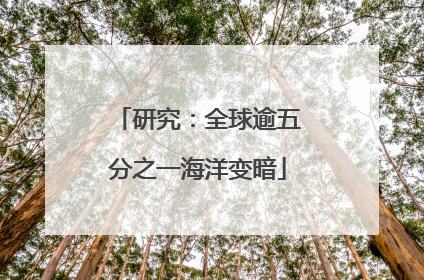 研究：全球逾五分之一海洋变暗