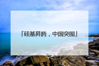 硅基昇腾，中国突围