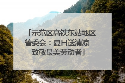 示范区高铁东站地区管委会：夏日送清凉 致敬最美劳动者