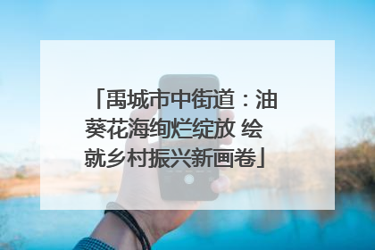 禹城市中街道：油葵花海绚烂绽放 绘就乡村振兴新画卷