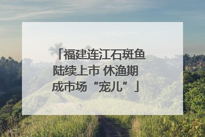 福建连江石斑鱼陆续上市 休渔期成市场“宠儿”