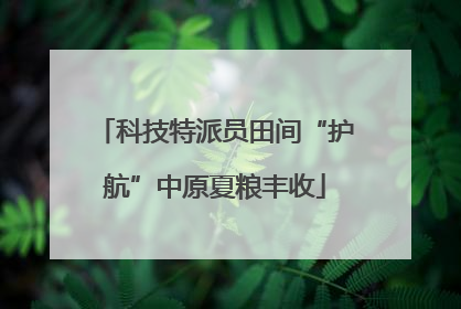 科技特派员田间“护航”中原夏粮丰收