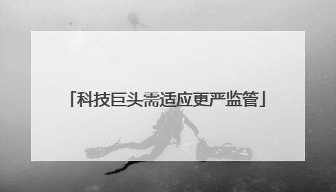 科技巨头需适应更严监管