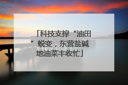 科技支撑“油田”蜕变，东营盐碱地油菜丰收忙