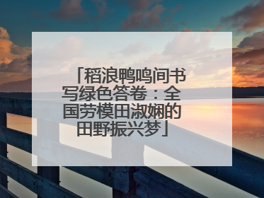 稻浪鸭鸣间书写绿色答卷：全国劳模田淑娴的田野振兴梦