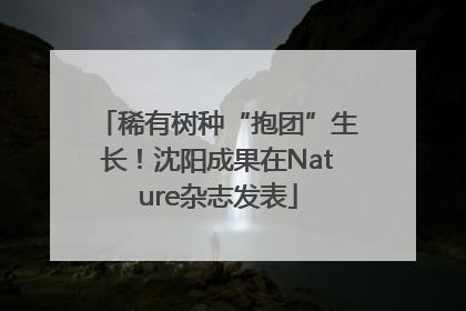稀有树种“抱团”生长！沈阳成果在Nature杂志发表
